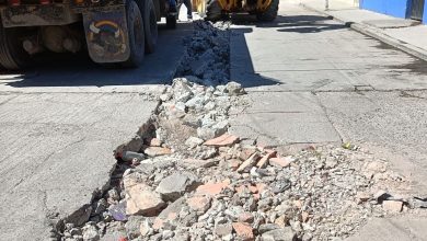 constitución gobierno municipal slp