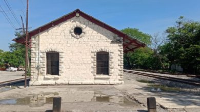 cronista tren pasajeros