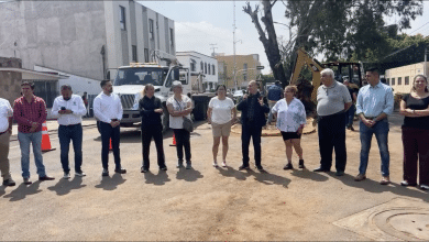 Encabeza Galindo restauración en Alamitos tras caída de árbol por rayo