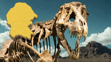 coahuila tierra dinosaurios