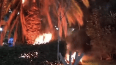 villa de pozos incendio