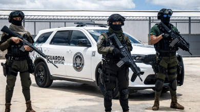 seguridad san luis guanajuato