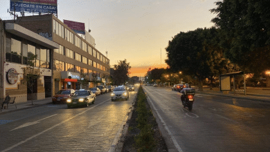 Avenida Venustiano Carranza