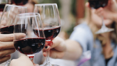 VINO ESTUDIO ESPAÑA