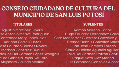 cultura consejo municipal