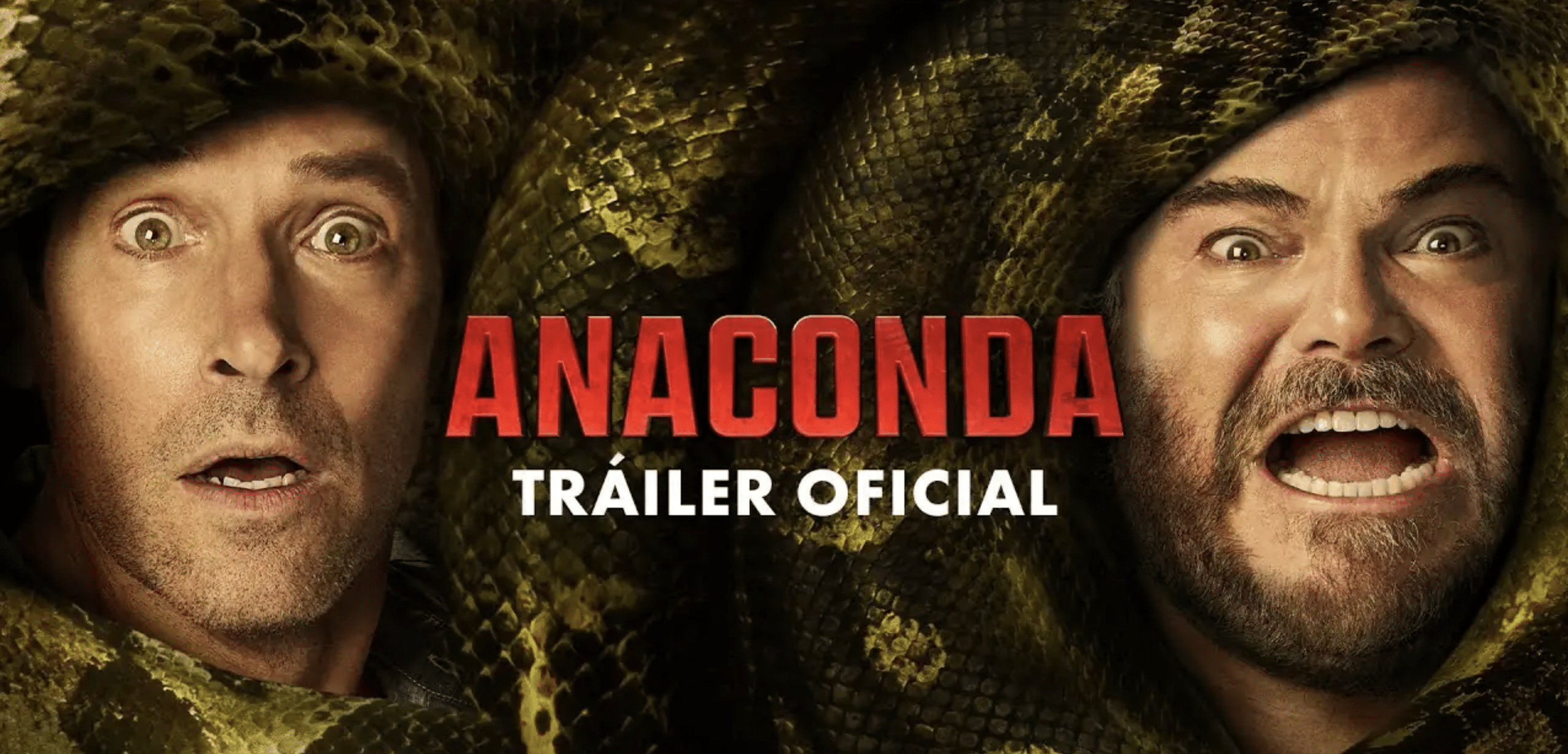 anaconda jack black