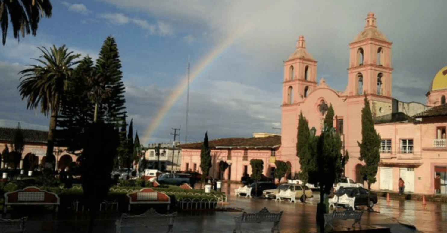 Pinos Zacatecas