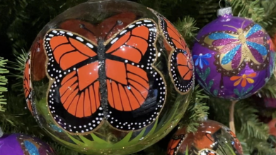 feria esfera michoacán