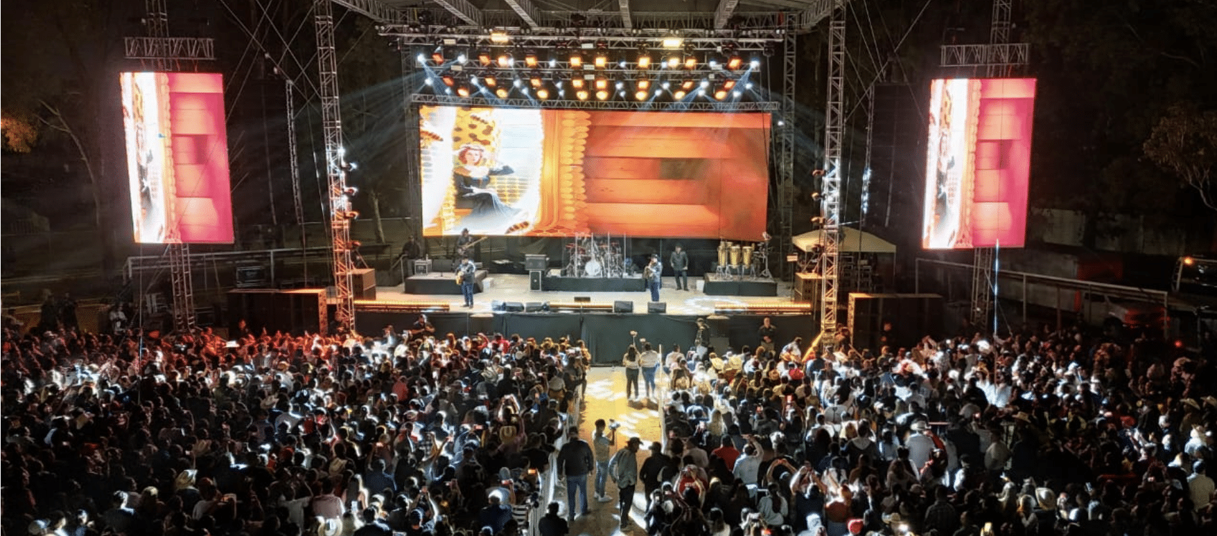 feria regional villa pozos pesado