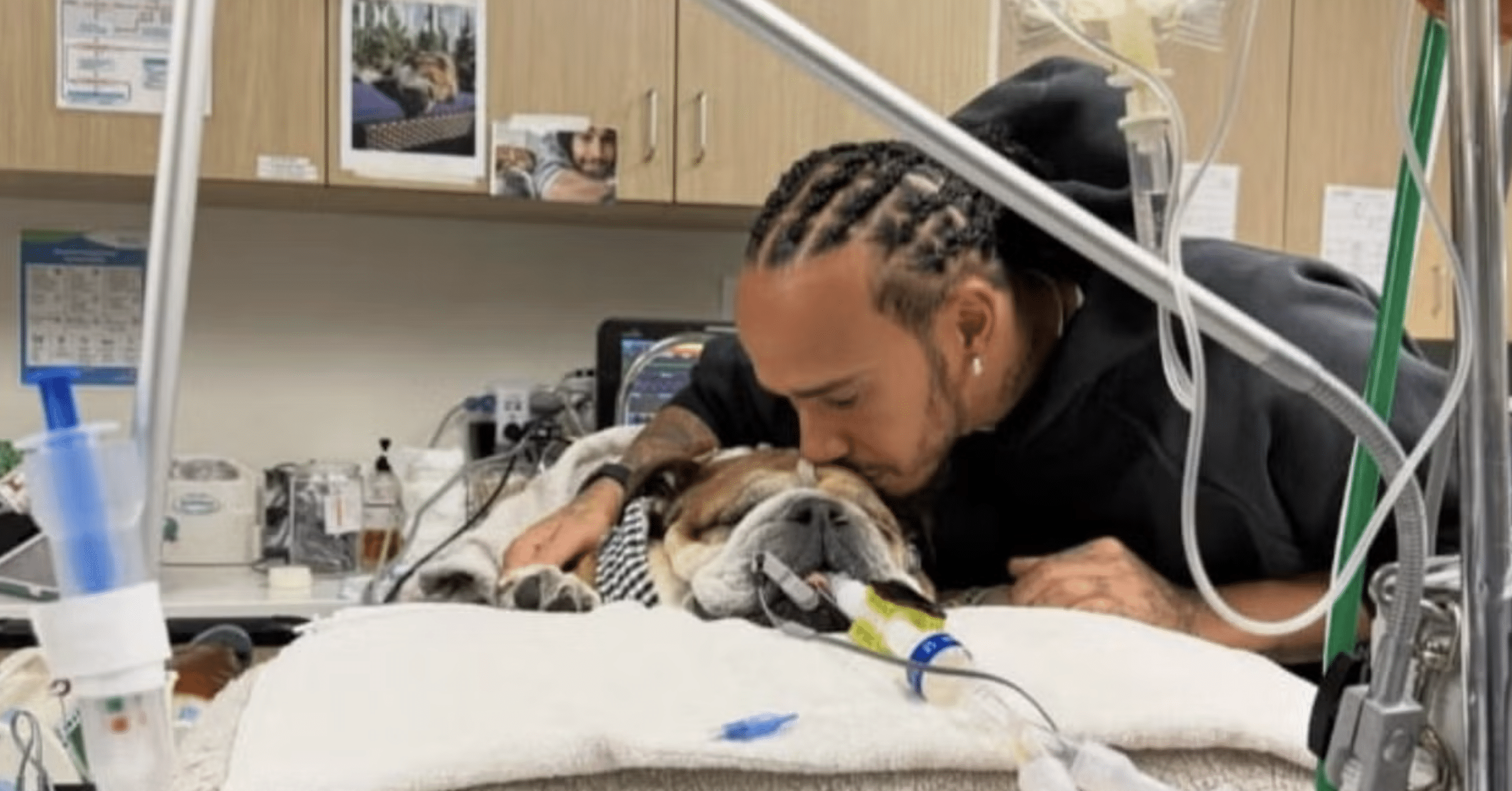 lewis hamilton roscoe