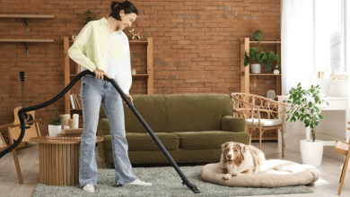 casa limpia mascotas