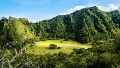 volcán Ceboruco nayarit