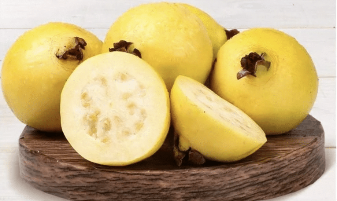 guayaba