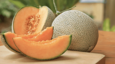melón