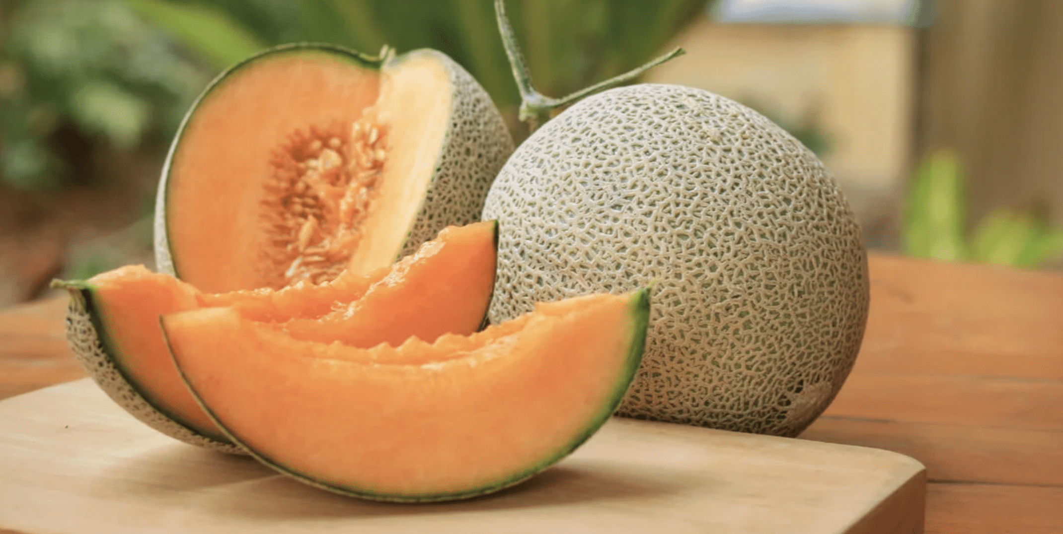 melón