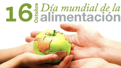 día mundial de la alimentación