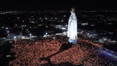 virgen fátima brasil