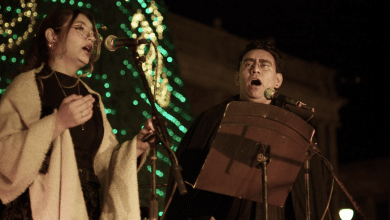 francois i martínez