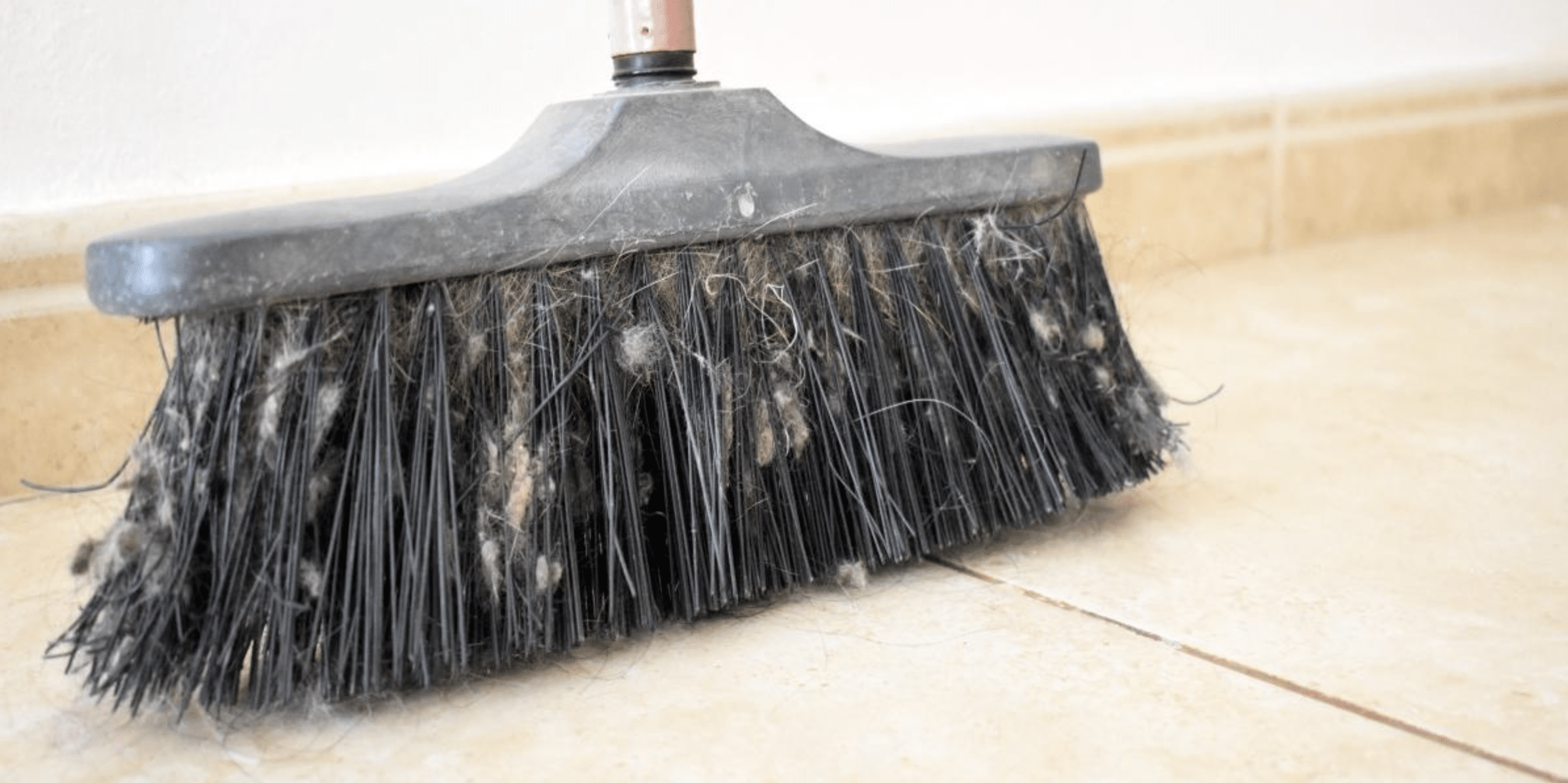 escoba sucia vida sana