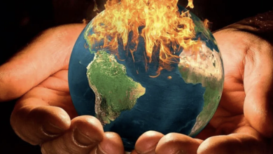 dia mundial terrestre