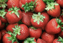 fresas vida sana salud