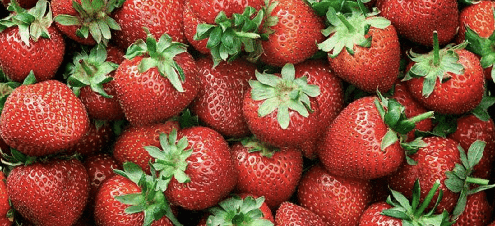 fresas vida sana salud