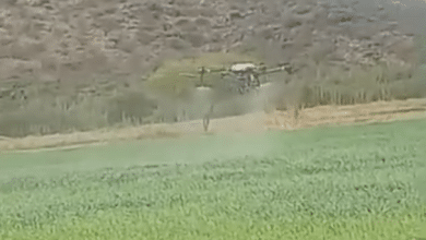 aerofumigación gobierno municipal slp