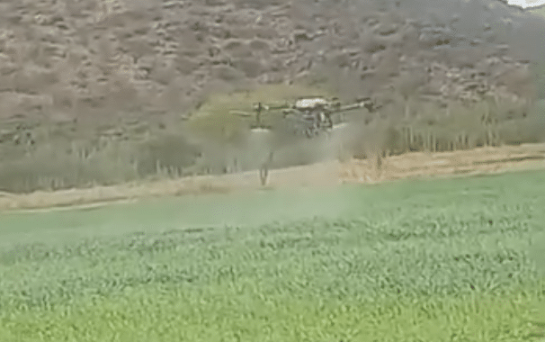 aerofumigación gobierno municipal slp