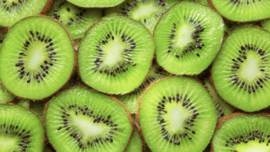 kiwi