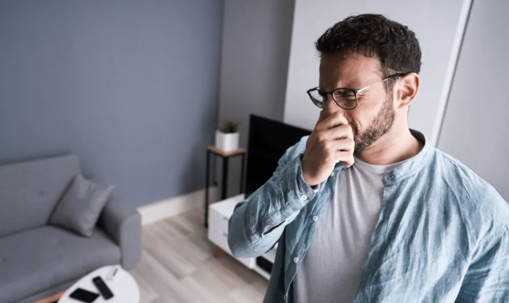 eliminar olor humedad casa