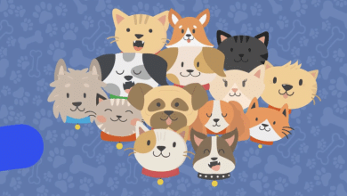 esterilización animal