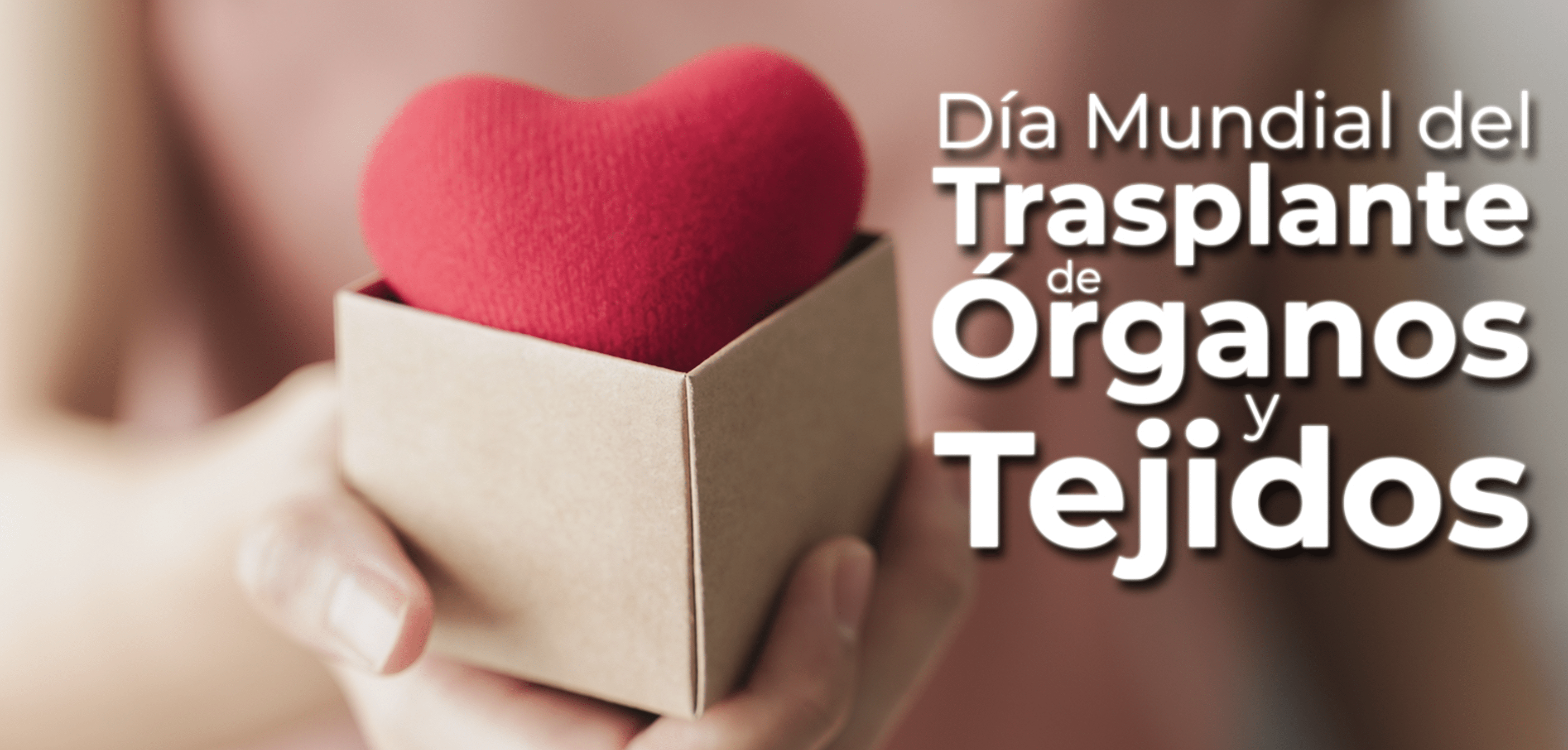 trasplante órganos tejidos