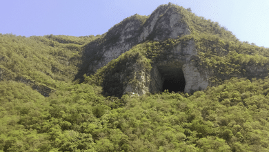 cueva de los murciélagos