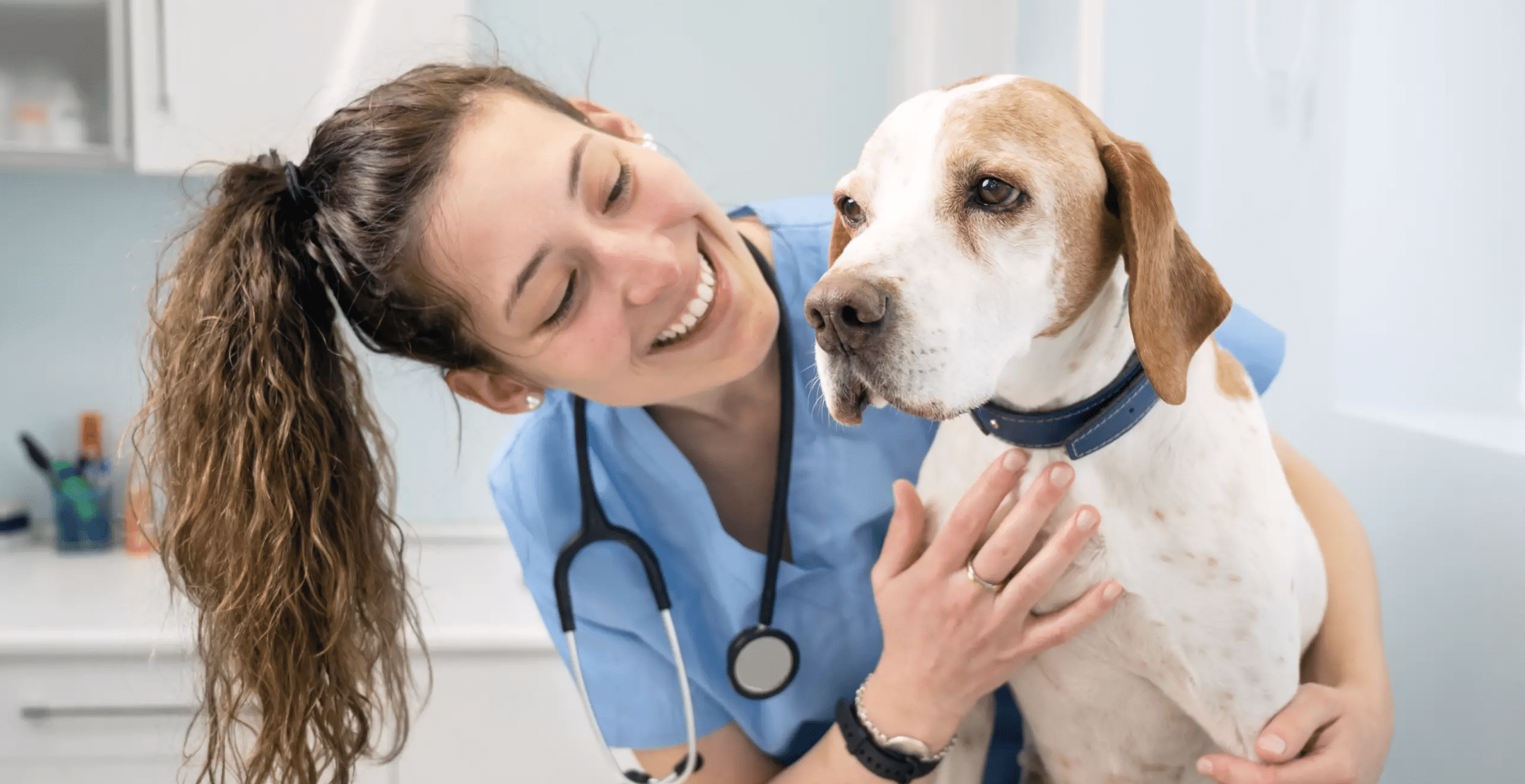 día mundial del veterinanrio