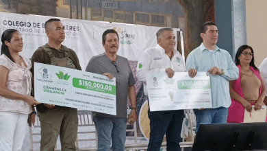 ricardo gallardo juárez david medina paneles cobach