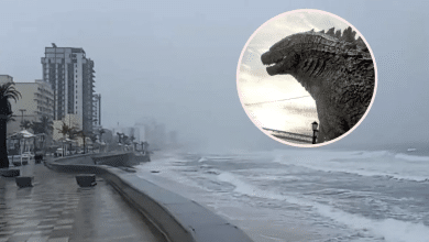 niño godzilla