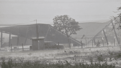 lluvias ébano