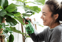 hablar plantas vida sana