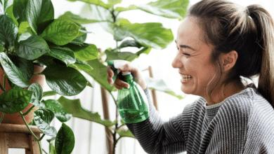 hablar plantas vida sana