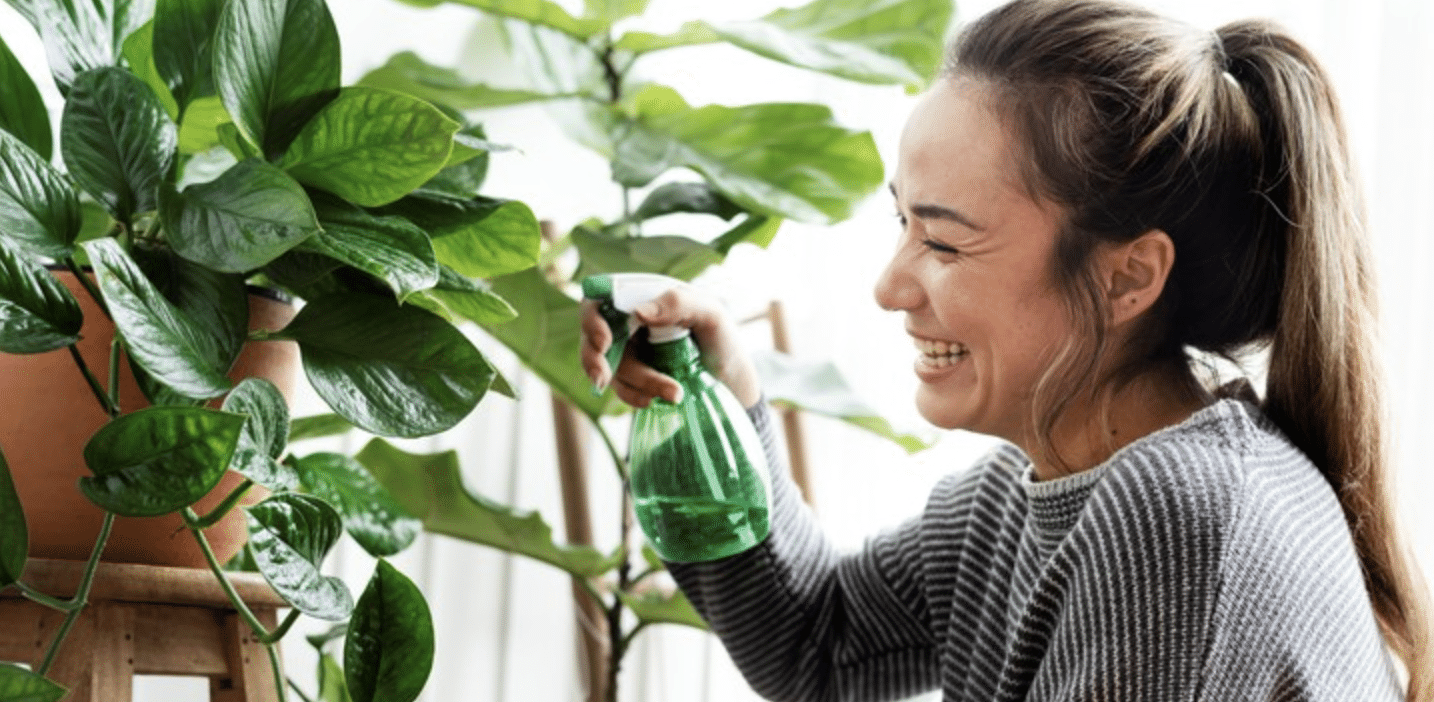 hablar plantas vida sana