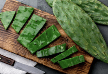 nopal gastronomía
