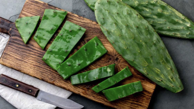 nopal gastronomía