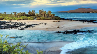islas galapagos