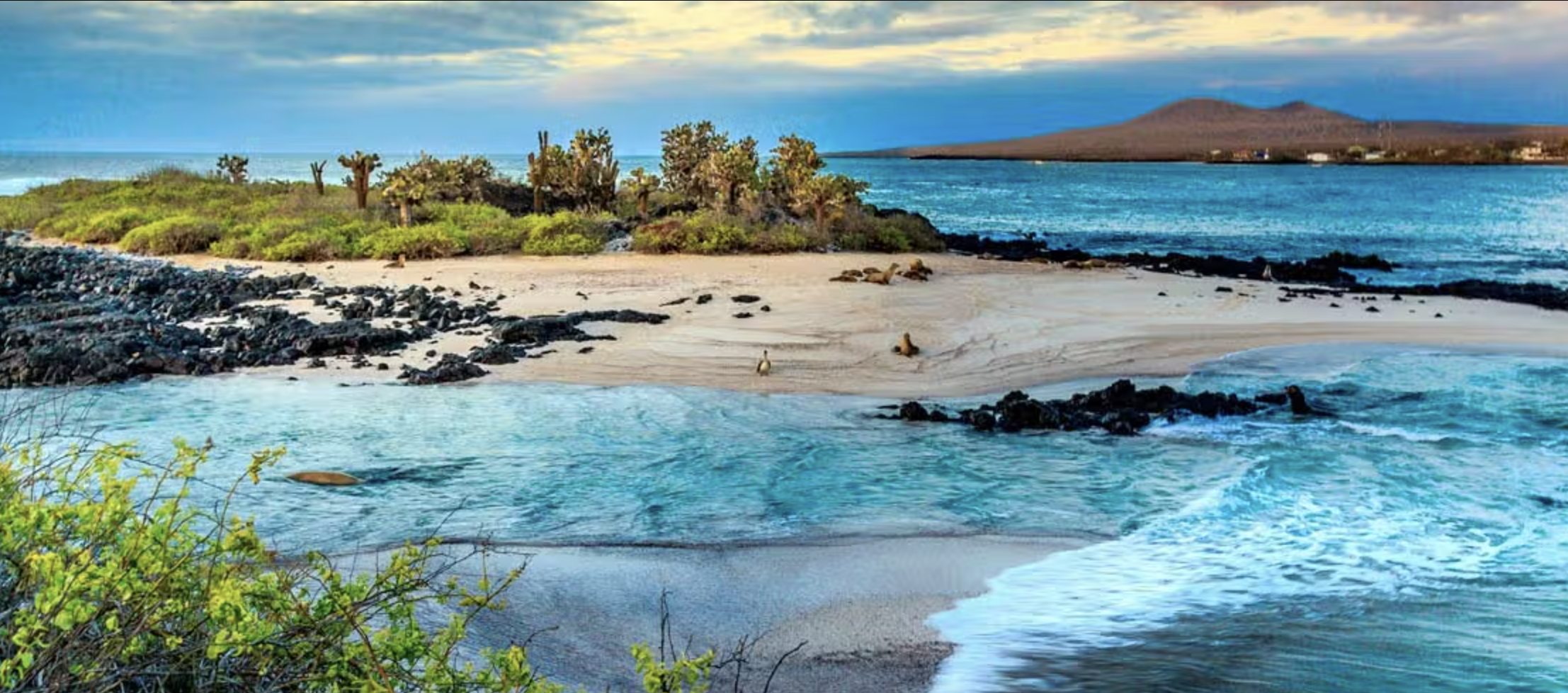 islas galapagos