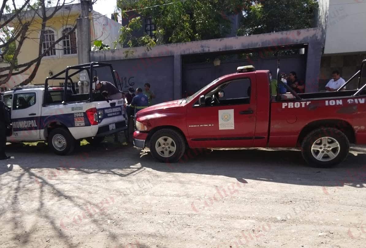 Cateo rescate animalitos maltratados