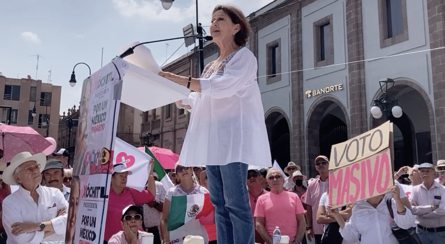 Elucubraciones: La Marea Rosa y Concha Lupe Nava - Código San Luis -  Periódico en línea