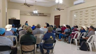 Consejo Nacional de Pueblos Indígenas