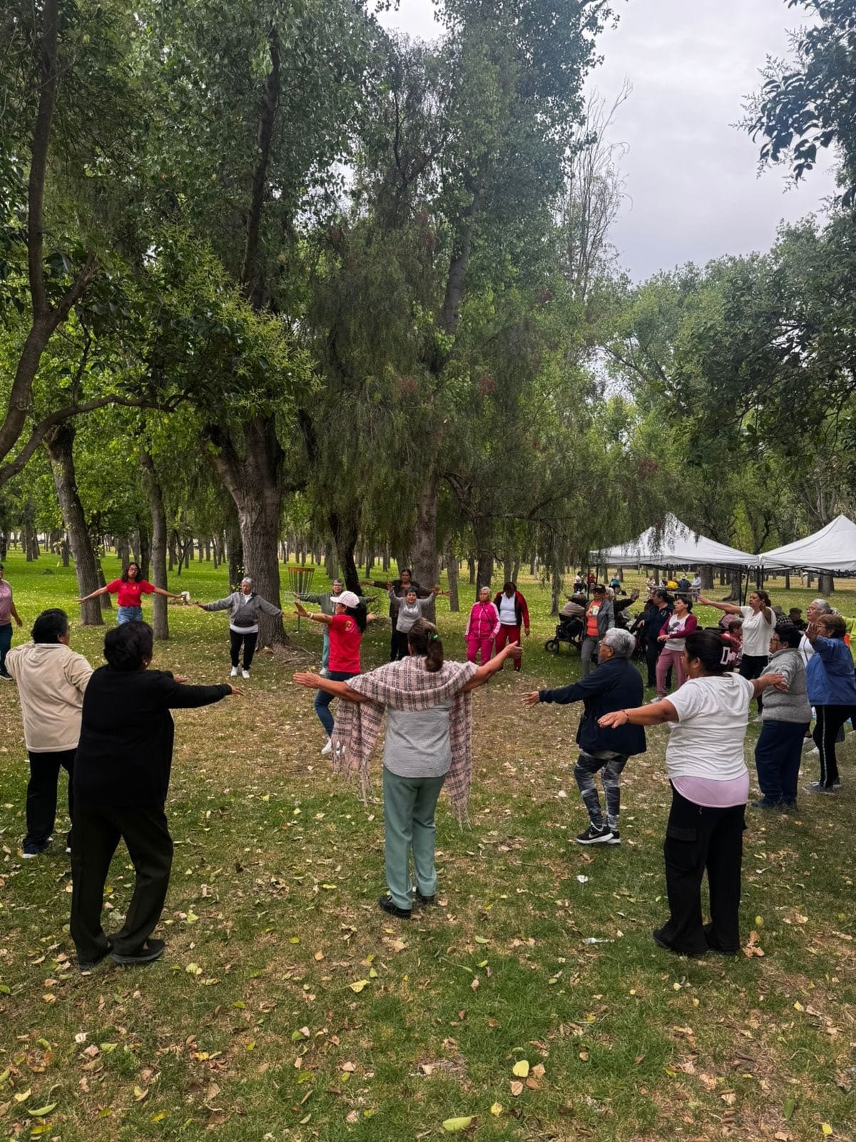 festejos dif villa de pozos
