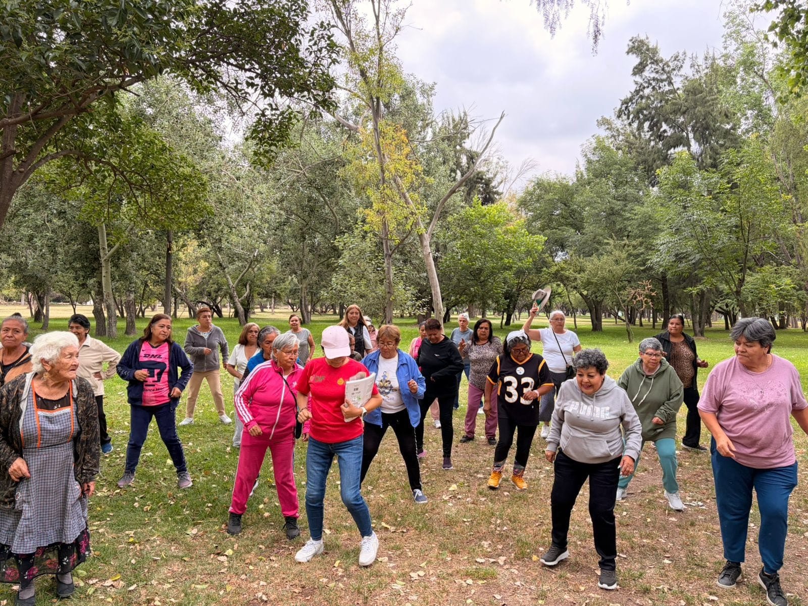 festejos dif villa de pozos