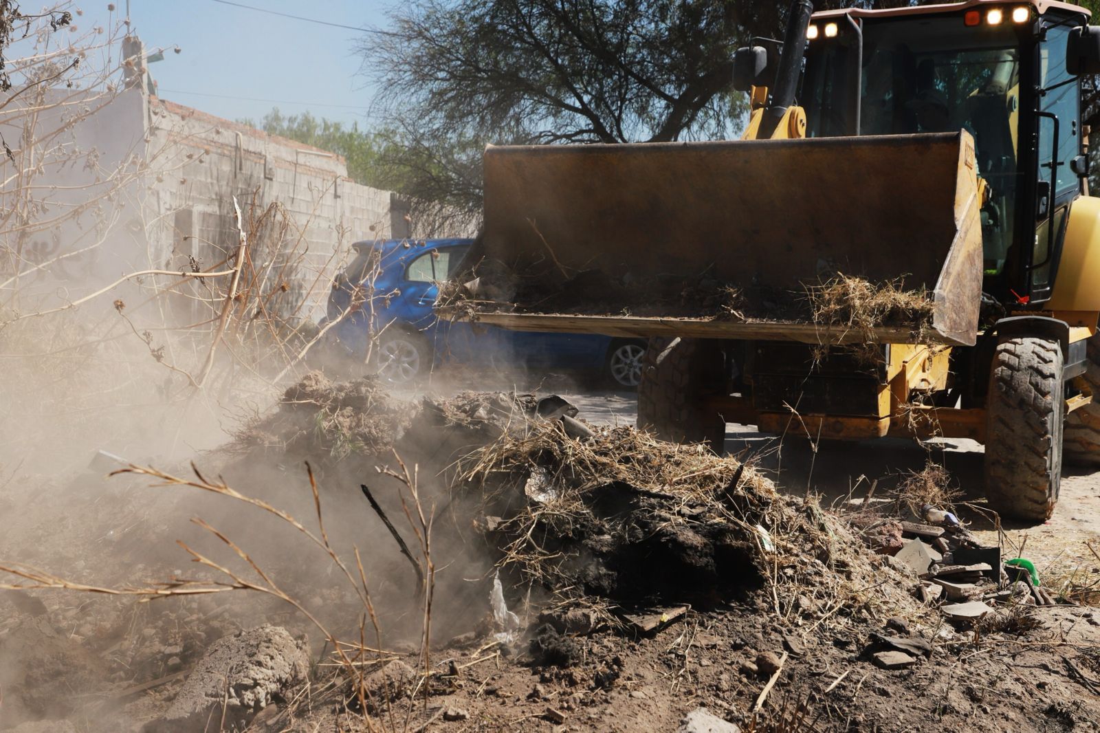 ecología táctica gobierno municipal slp